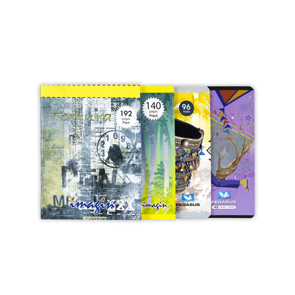 Cahier 96p 17x22 Pegasus