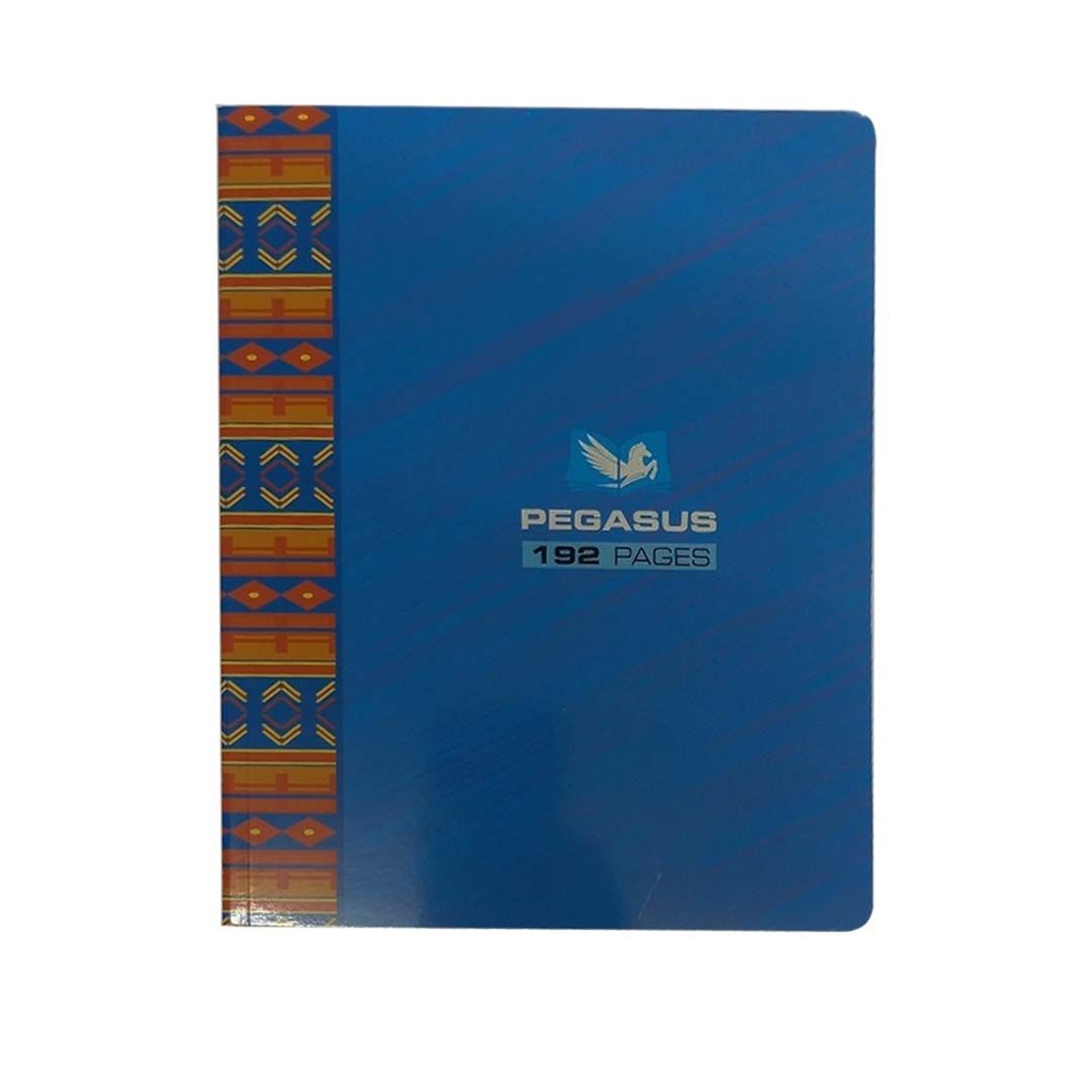 Cahier 192p 17x22 Pegasus