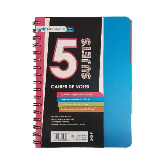5 Sujets Spirale 240 Pages 5*5 A5
