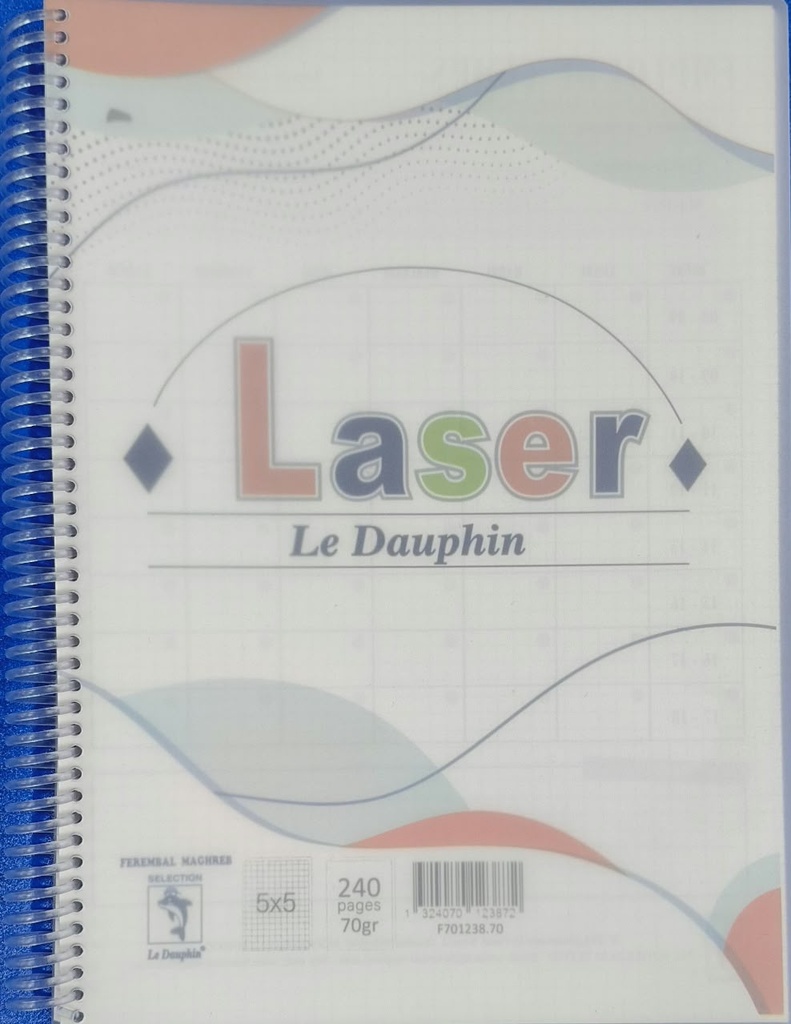 Cahier Spirale 288 Pages 5*5 A4 Dauphin