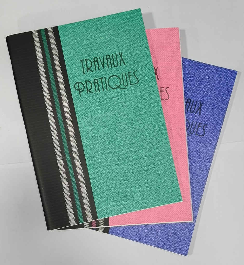 Cahier Trav Pratiq Dos Carre 384 Pages Seyes A4