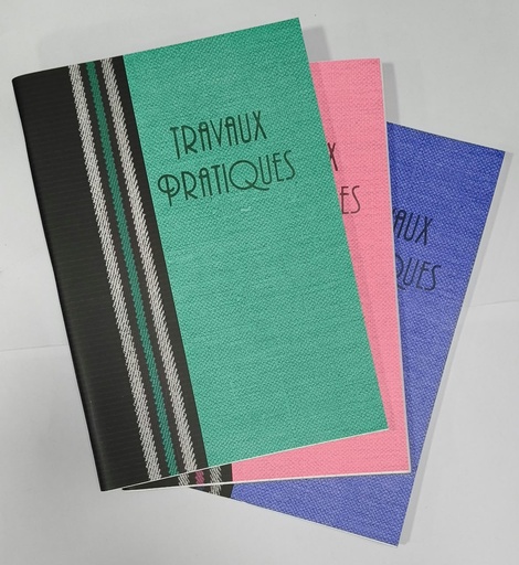 [AR0002558] Cahier Trav Pratiq Dos Carre 288 Pages Pellicule A