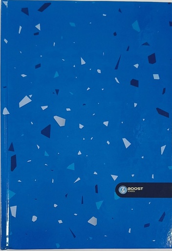 [AR0002599] Registre Boost A4 480p Bleu 5x5