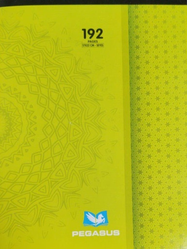 [AR0002819] Cahier 192P pique A4 10*10 PEGASUS